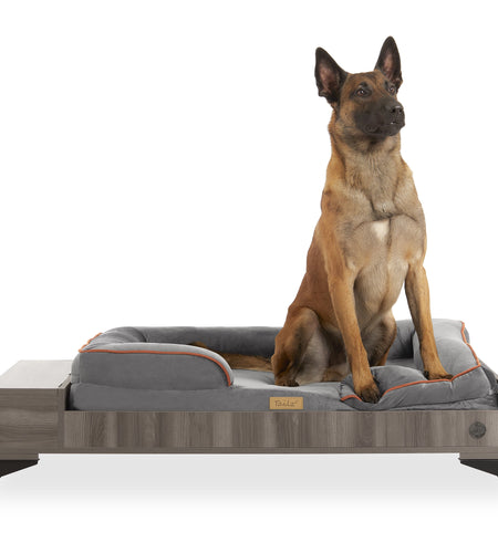 Wyatt Wooden Pet Bed with Mattress | Large to Extra Large Greenguard Gold Certified Dog Bed